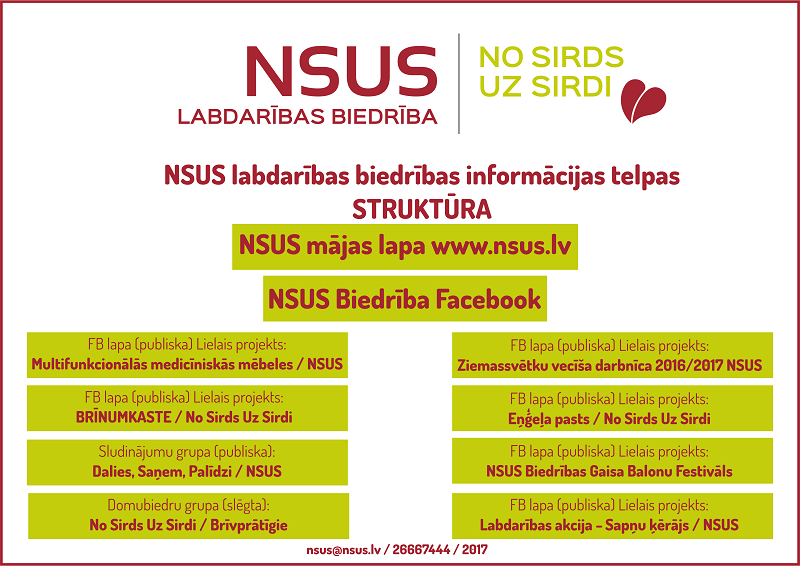 NSUS struktura 2017 web